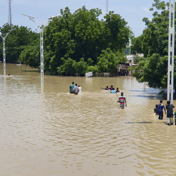 Poplave naterale ljude da napuste kuće, ali na ulicama krokodili i zmije VIDEO