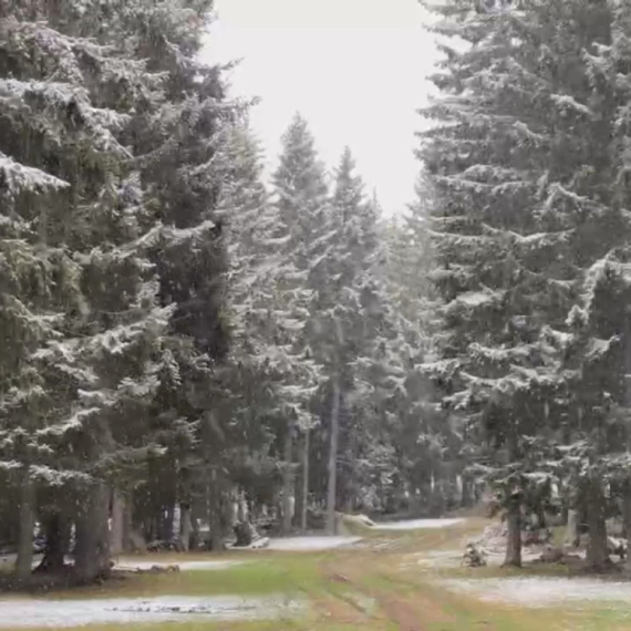 Prvi sneg u Srbiji: Zabeleo se vrh planine FOTO