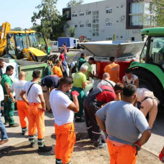 Novosađani pune džakove peskom: Prete im poplave?