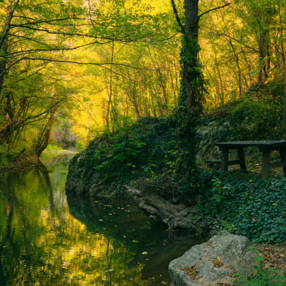 Važi za najlepšu banju u Srbiji, a cene smeštaja jedva prelaze 2.000 dinara FOTO