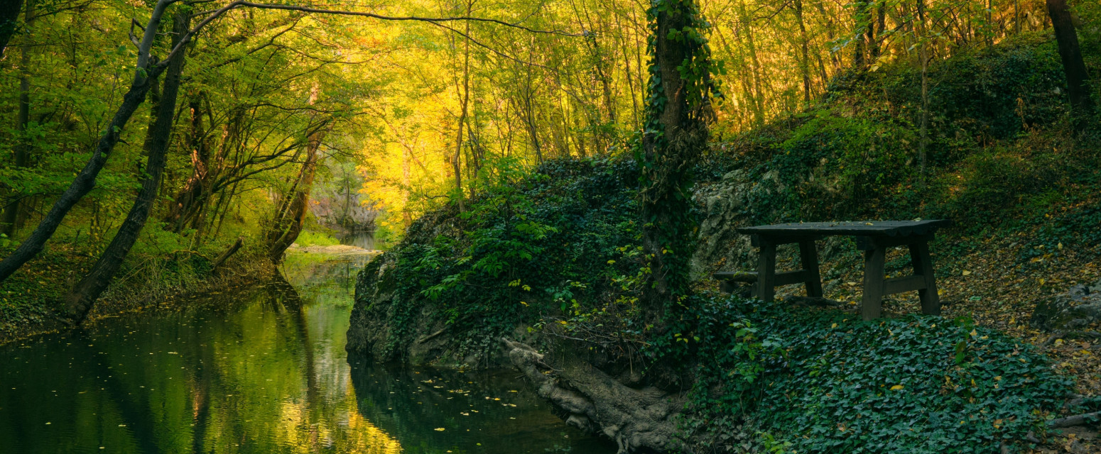 Bliži se jesenji produženi vikend: Idealno vreme da posetite ove destinacije u Srbiji FOTO