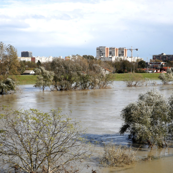 Sava se izlila iz korita; Vodostaj raste, stiglo hitno upozorenje FOTO