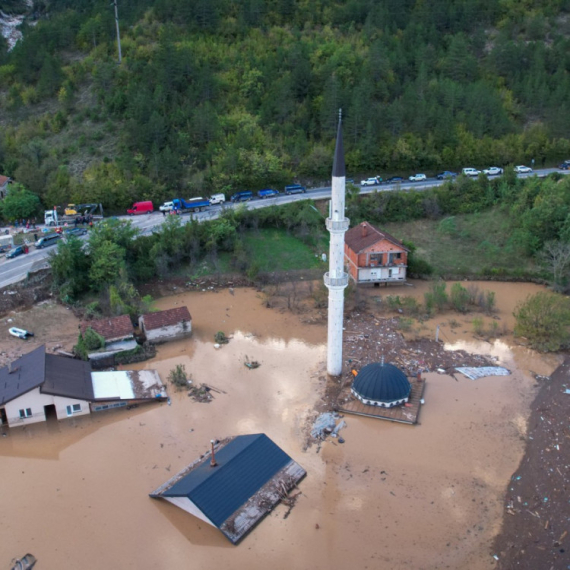 Poginula trudnica, na nju palo drvo; Spasioci na terenu; Putevi blokirani