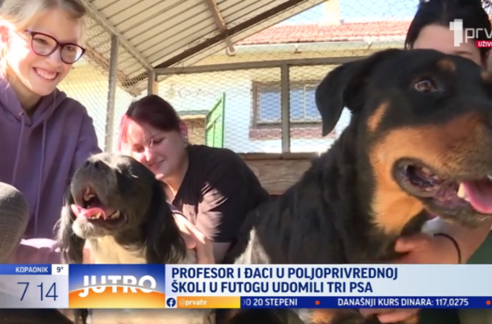 Školski psi: Profesori i đaci udomili tri psa VIDEO