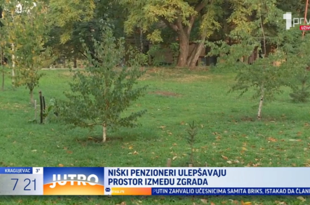 Niški penzioneri ulepšavaju prostor između zgrada VIDEO