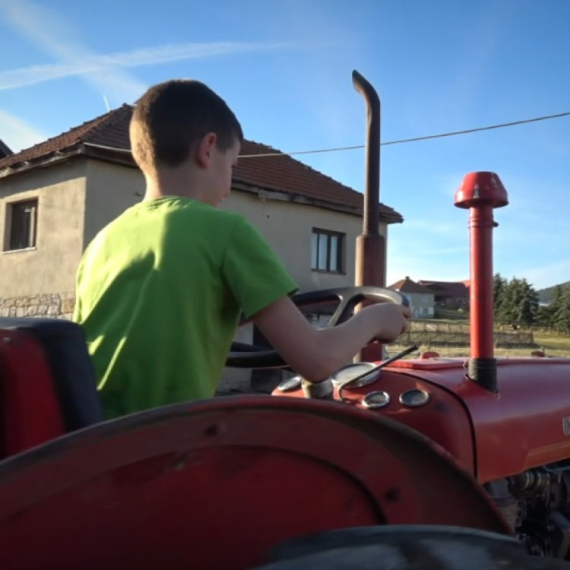 Najmlađi farmer u Srbiji: Ono što mali Desimir radi smeju samo veterinari FOTO/VIDEO