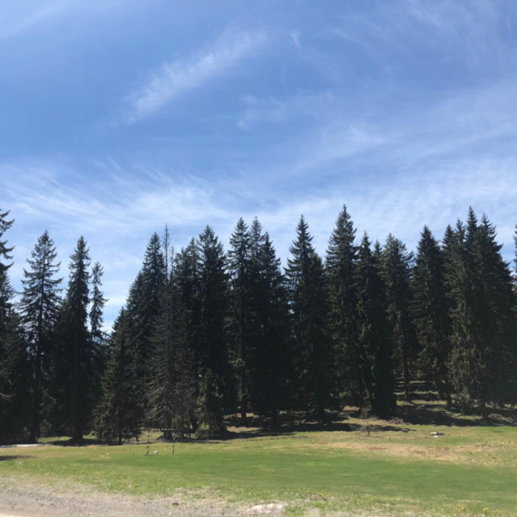 Ova nepravedno zapostavljena planina u Srbiji je pravo blago: Ima specifičnu klimu i bujne šume FOTO