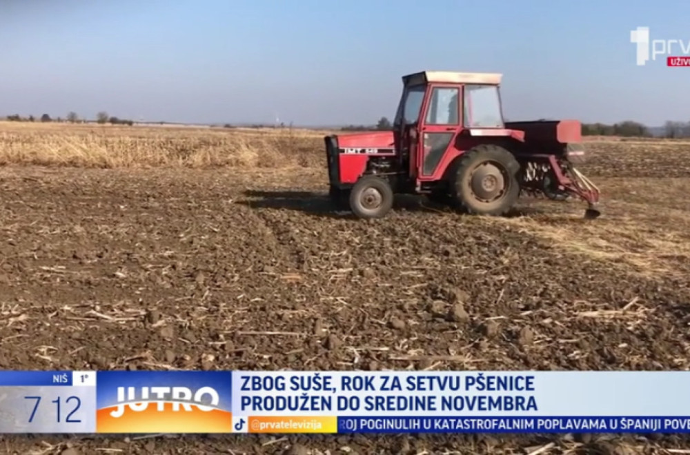 Produžen rok za setvu pšenice VIDEO