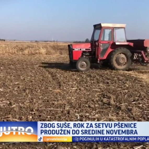 Produžen rok za setvu pšenice VIDEO