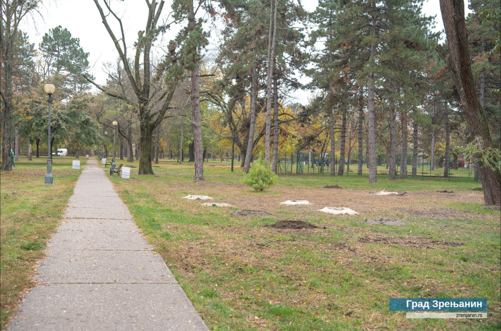 Počela rekonstrukcija jednog od najvećih parkova u Zrenjaninu FOTO