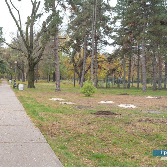 Počela rekonstrukcija jednog od najvećih parkova u Zrenjaninu FOTO