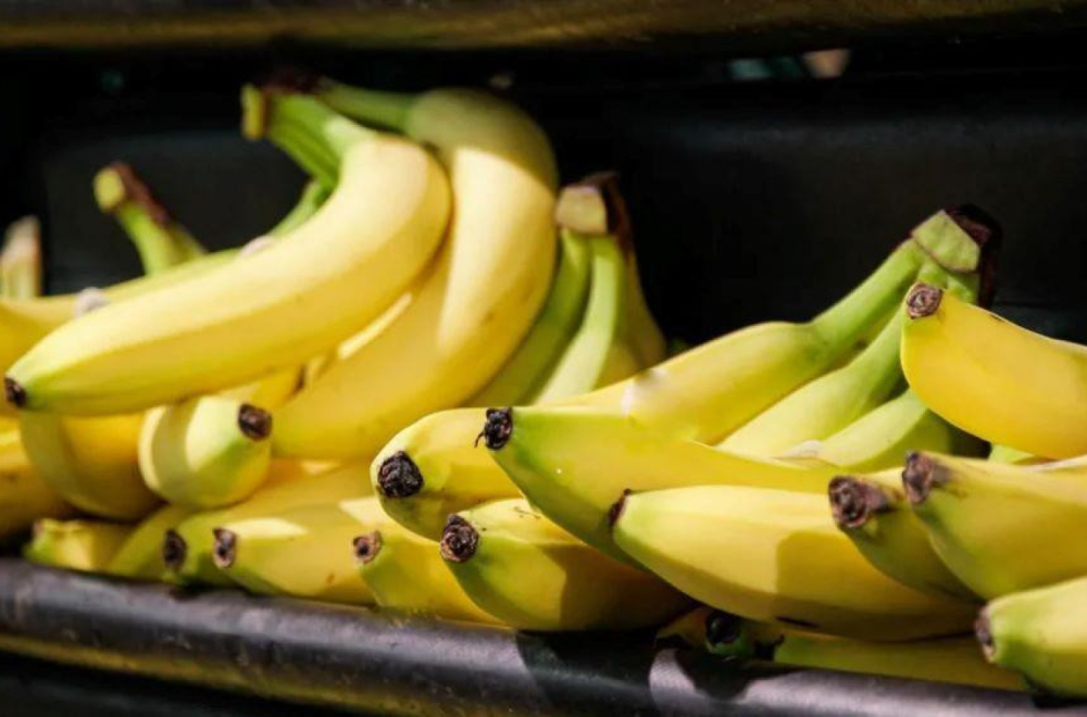 Švedska ministarka ima banana fobiju, zaposleni traže da nema ovog voća