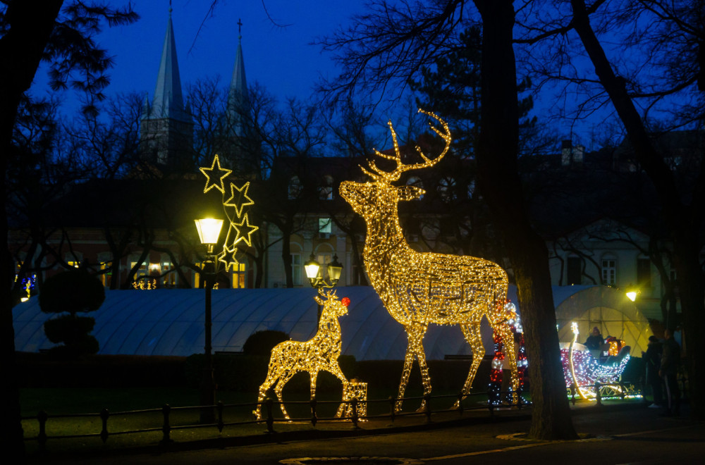 Počelo postavljanje novogodišnje rasvete; Evo kada će Subotica zasijati