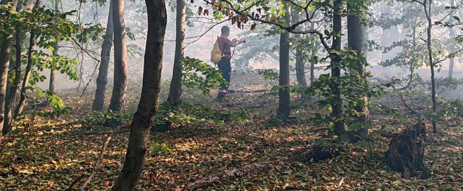 Park prirode "Veliki Jastrebac" proglašen za zaštićeno područje