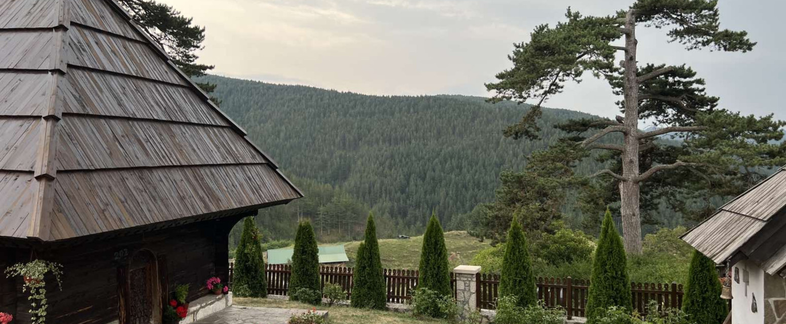 Srpska planina verni čuvar retke vrste četinara