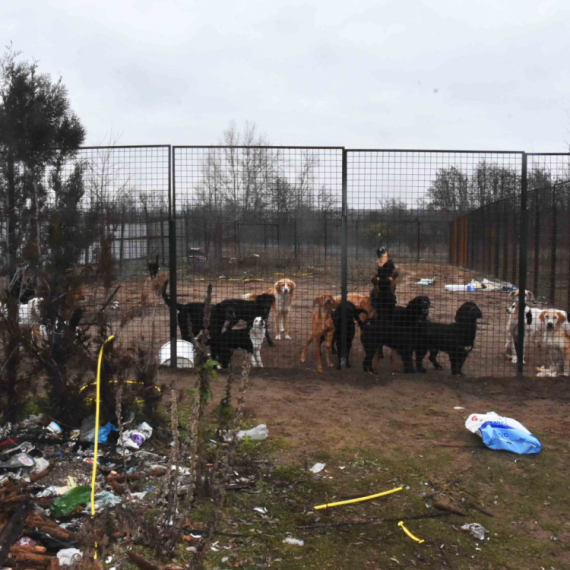 Užas u Subotici: Policija zatekla 50 pasa u nehumanim uslovima FOTO