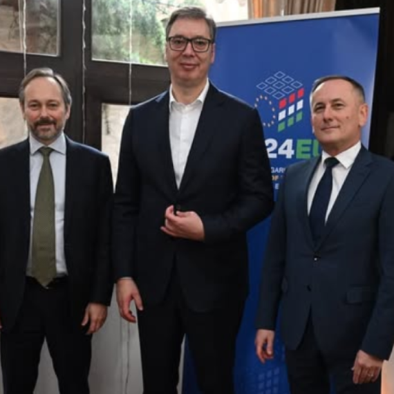 Vučić na ručku sa ambasadorima zemalja EU: "Zahvalan sam Mađarskoj na podršci našoj zemlji na EU putu" FOTO