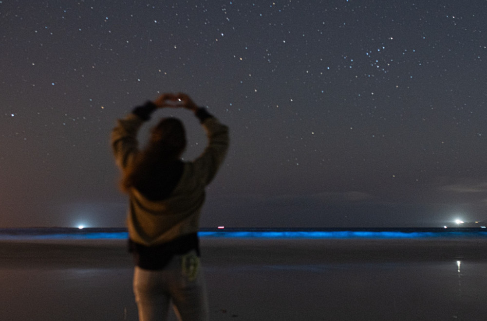 Vratile su se noctiluca scintillans: Zbog njih more izgleda kao bajka VIDEO