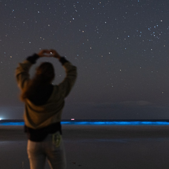 Vratile su se "noctiluca scintillans": Zbog njih more izgleda kao bajka VIDEO