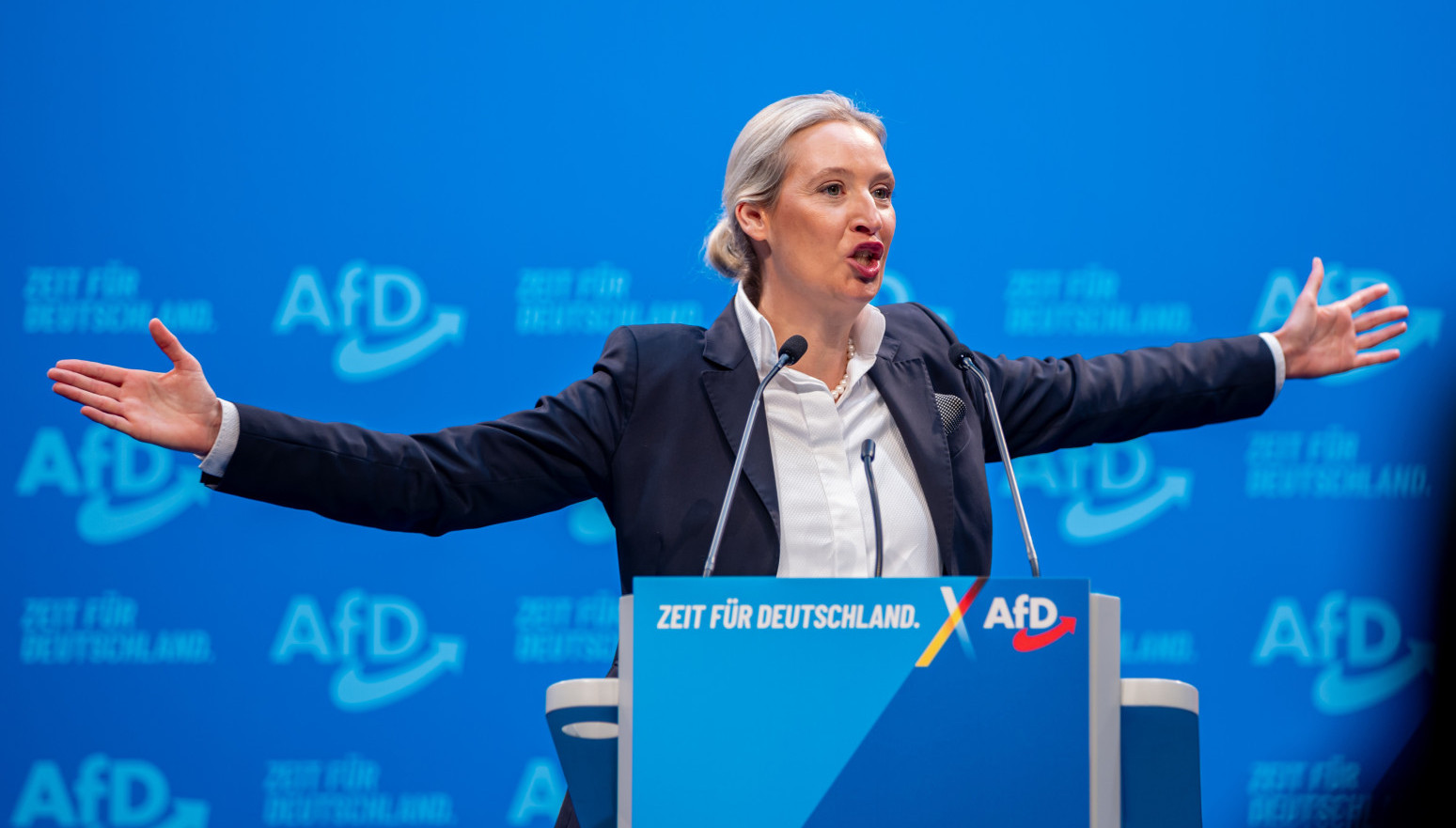 AfD imenovao Alis Vajdel za svog kandidata za kancelara