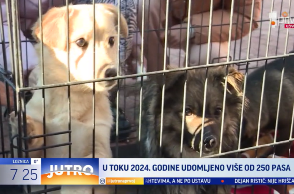 Još jedna uspešna akcija na novosadskom Zimzolendu VIDEO