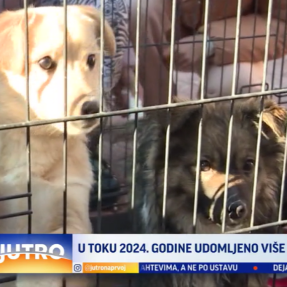 Još jedna uspešna akcija na novosadskom Zimzolendu VIDEO