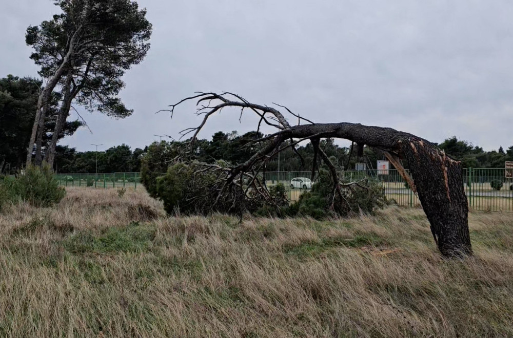 Država na nogama: Snažna oluja napravila haos; Građani upozoreni: Ne izlazite napolje FOTO/VIDEO