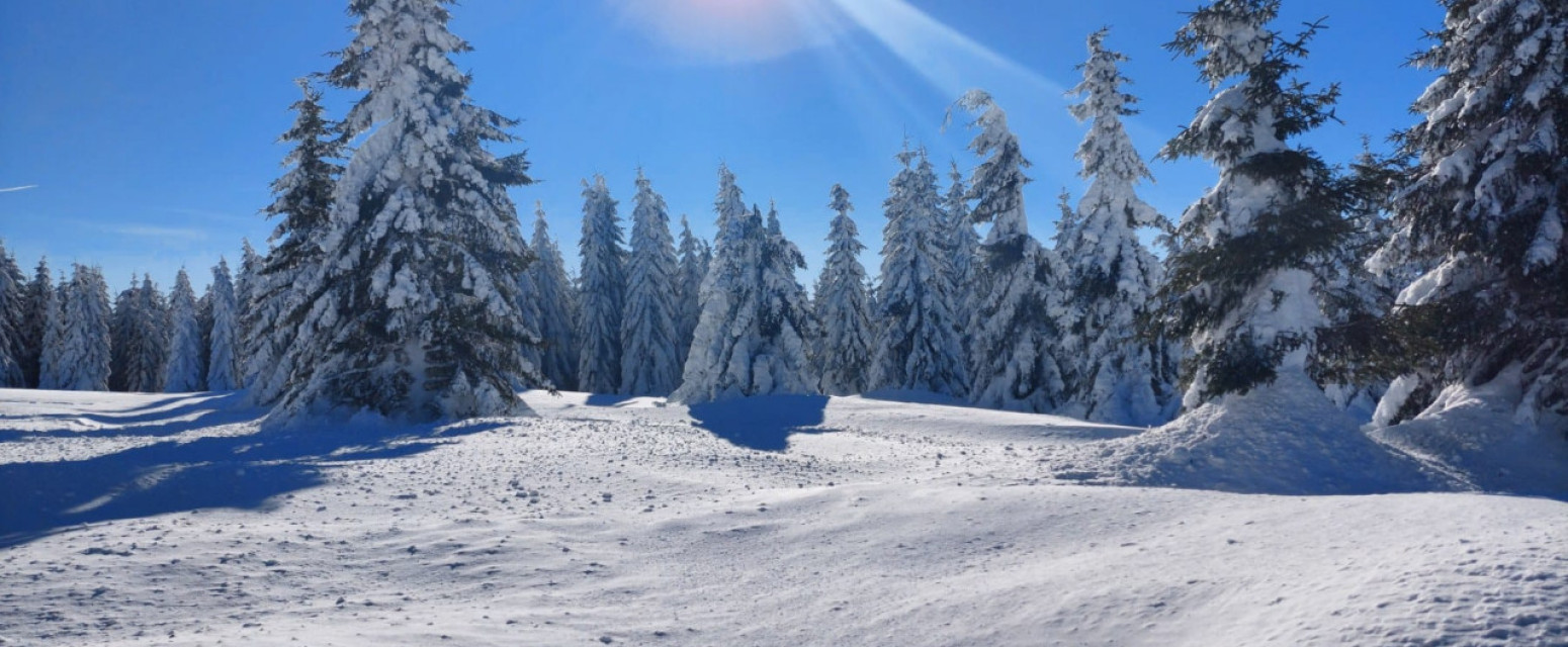 Ovo je jedna od najlepših ali i najjeftinijih planina u Srbiji