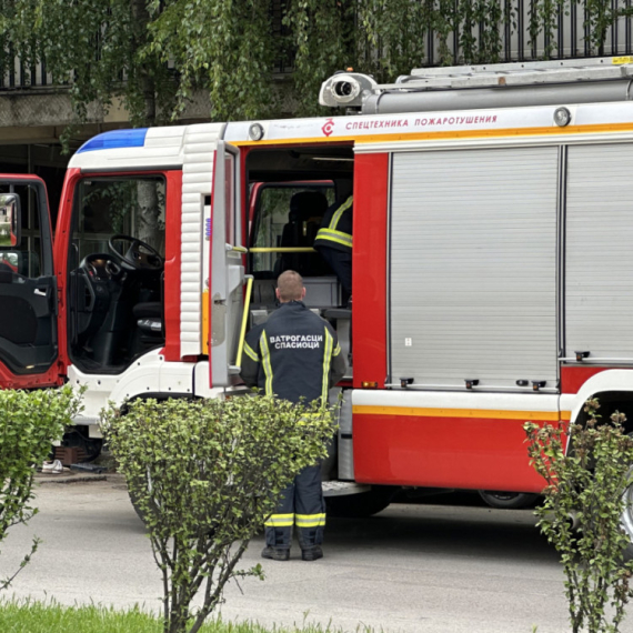 Veliki požar kod Novog Sada: Vatra zahvatila njive VIDEO