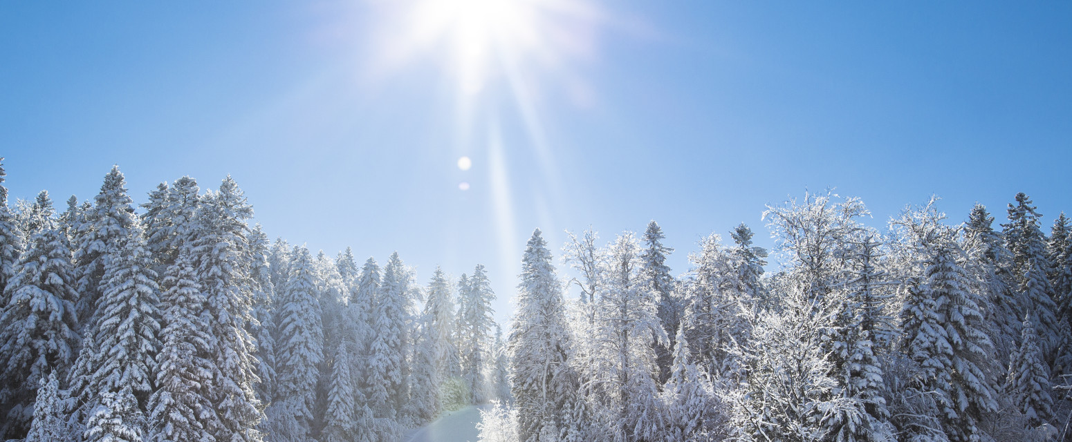 Svi su čuli za Jahorinu, ali BiH ima i ovo skijalište: Evo kako se kreću cene ski-pasa FOTO