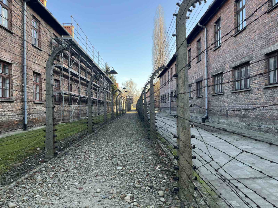 Kolone posetilaca, a tišina nikad glasnija: Koracima najvećeg zločina ljudske istorije FOTO