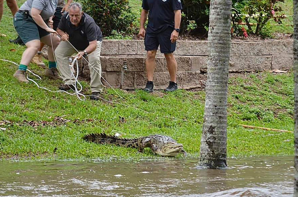 Poplave raznele most; "Lete" rezervoari s vodom; Stanovnici upozoreni: Krokodili su svuda; "Zovite vojsku"