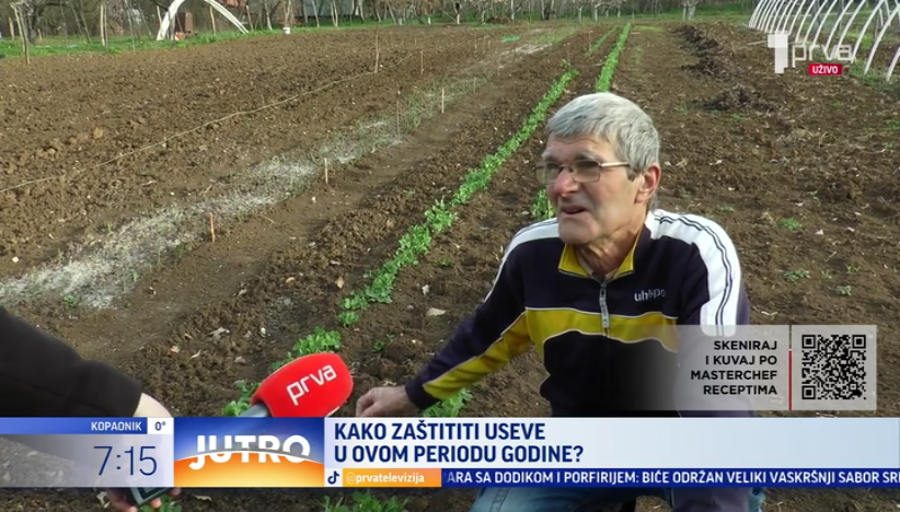 Kako zaštiti useve? Ovo povrće je najugroženije u čačanskom kraju