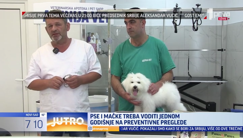 I kućni ljubimci moraju na preventivne preglede