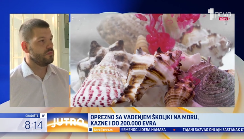 Kazna za skupljanje školjki i do 200.000 evra