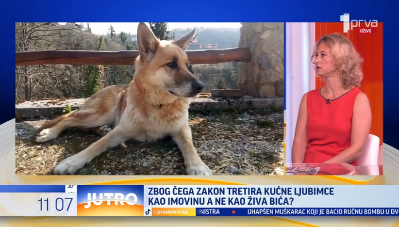 Zašto porodično pravo posmatra ljubimce kao imovinu?