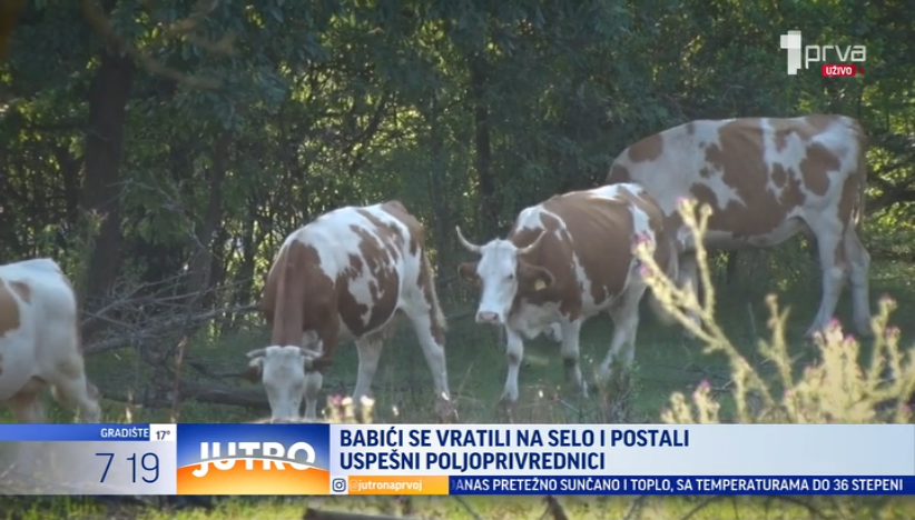 Vratili se na svoje selo i postali uspešni poljoprivrednici