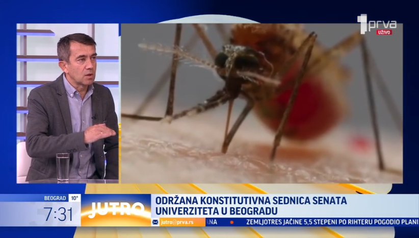 Prete li nam nove epidemije zbog ujeda komaraca?