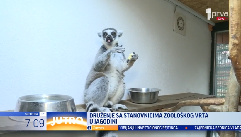 Druženje sa stanovnicima Zoo-vrta u Jagodini