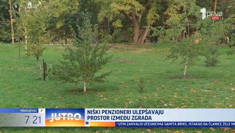 Niški penzioneri ulepšavaju prostor između zgrada