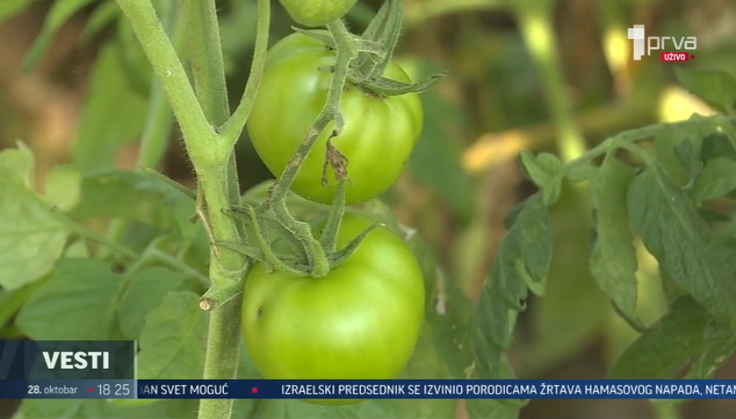 Povećan broj parcela za organsku proizvodnju