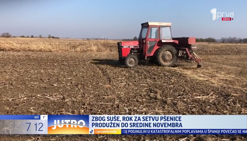 Produžen rok za setvu pšenice