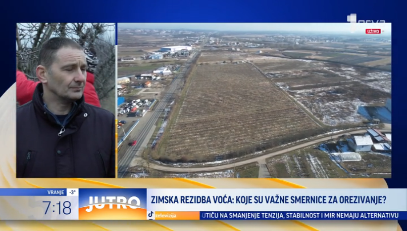 Kada je pravo vreme za rezidbu voća?