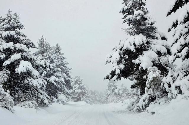 Snežni haos u delovima Srbije – zavejana sela, nema struje