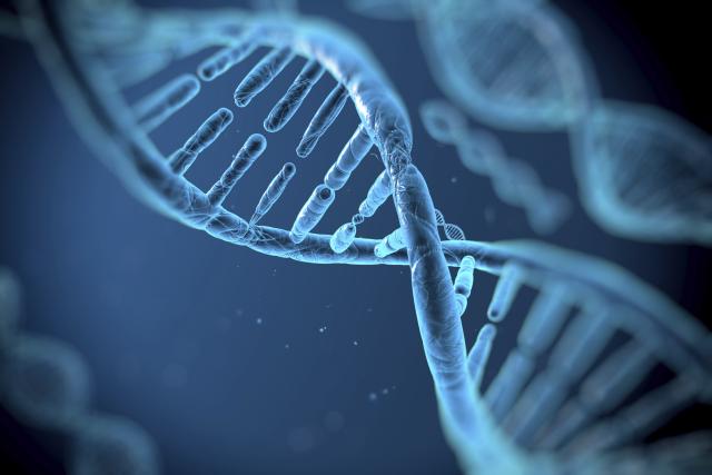 Revolucionarno otkriće u forenzici: Geni otkrivaju vreme smrti