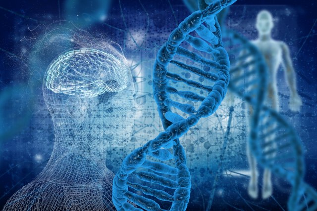 Čovek može da ima dva potpuno različita seta DNK - B92