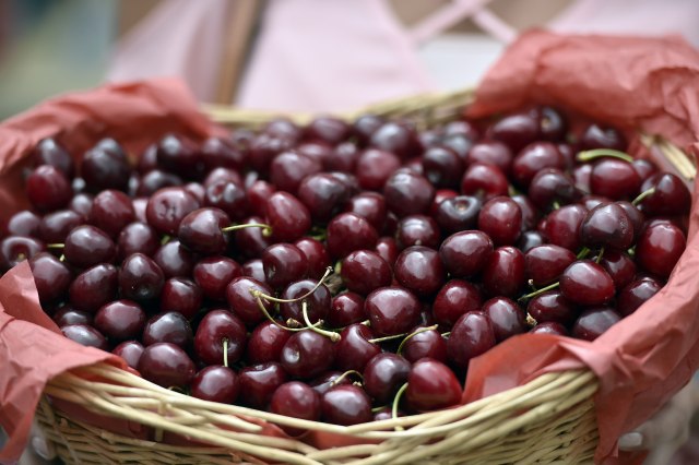 Rampa za voæe iz Hrvatske: Višnje nisu zdrave