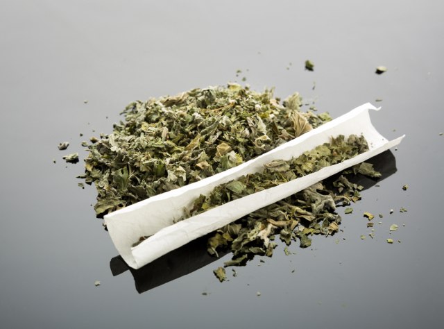 Novi Sad: Zaplenjeno 12 kilograma marihuane