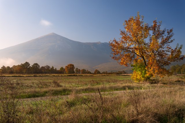 Pet planina za miran odmor u Srbiji, među njima i jedna 