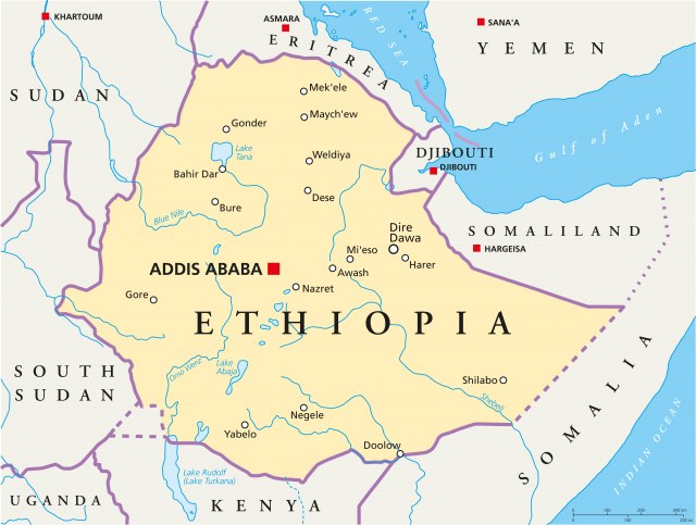 Stotine pristalica podržalo etiopskog aktivistu